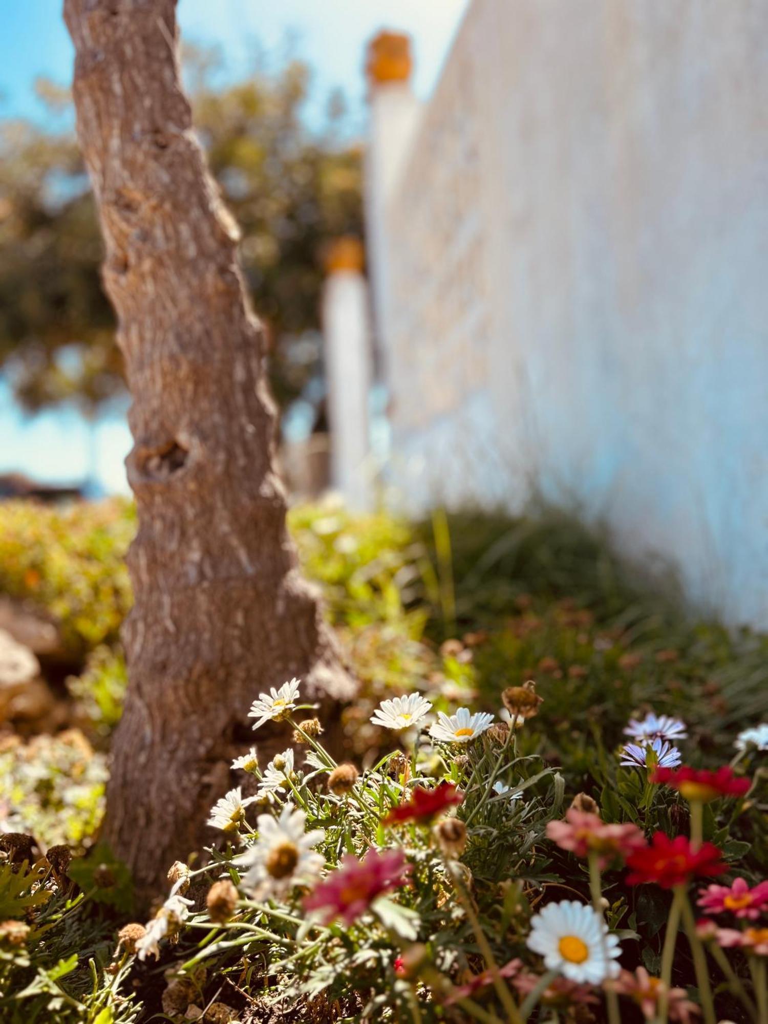 Dream Holiday Marina di Lizzano Exterior photo